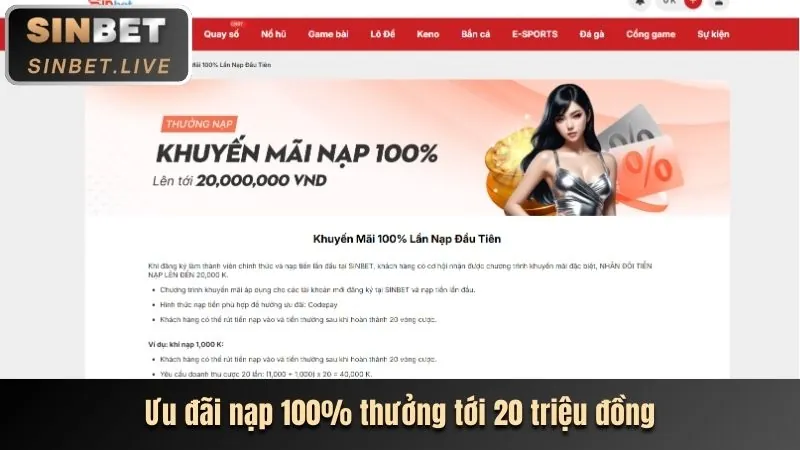 Hoàn trả mỗi ngày NôHu90